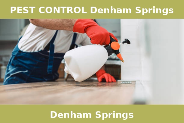 PEST CONTROL Denham Springs